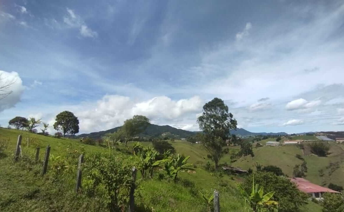 VENTA LOTE EL SANTUARIO COD 1356216