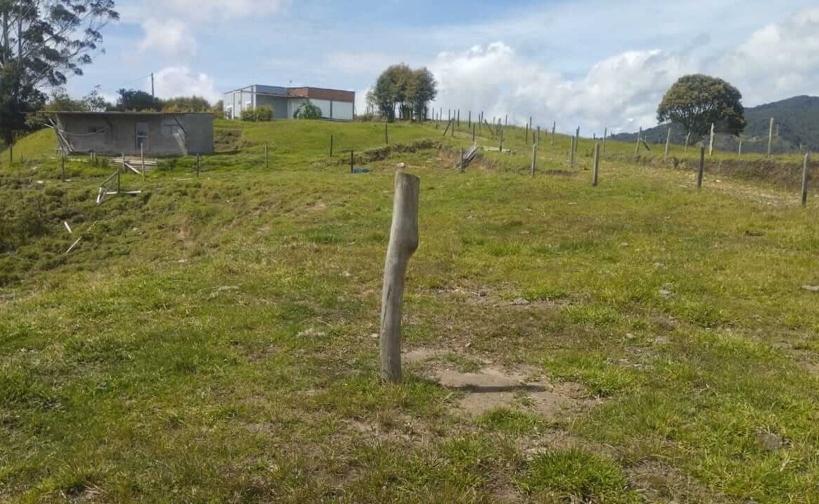 1170