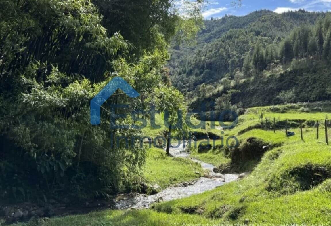 1151