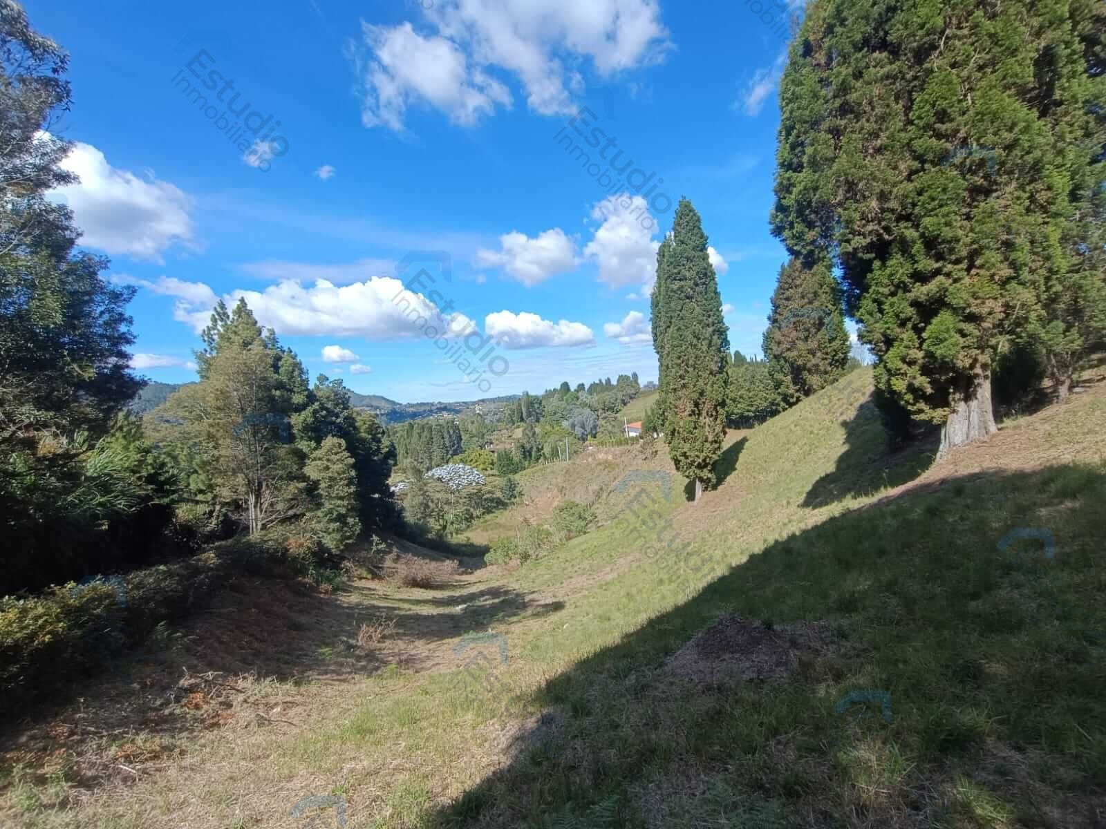 watermarked-img-1775744235041-3-4