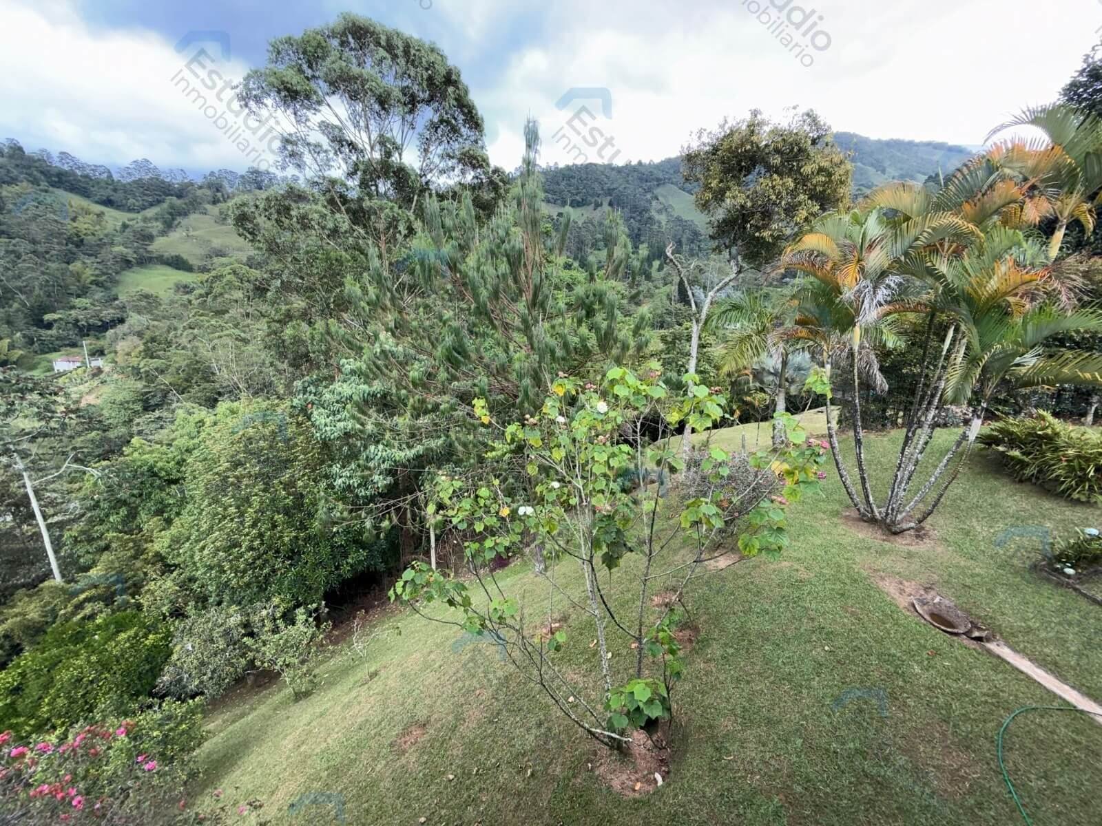 watermarked-img-1775916743012-26-27