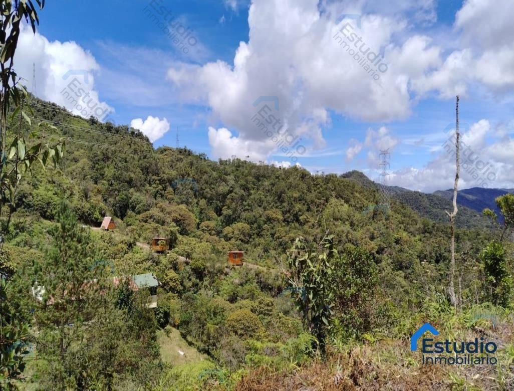 VENTA FINCA GUATAPE VEREDA EL ROBLE COD 1777411