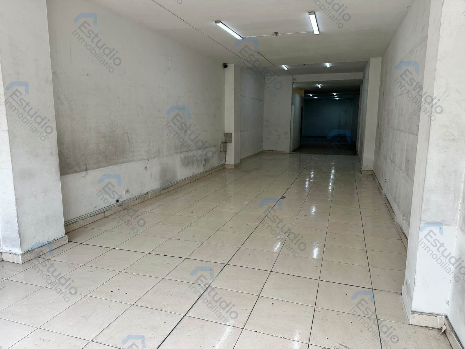 watermarked-img-1789584663836-1-2